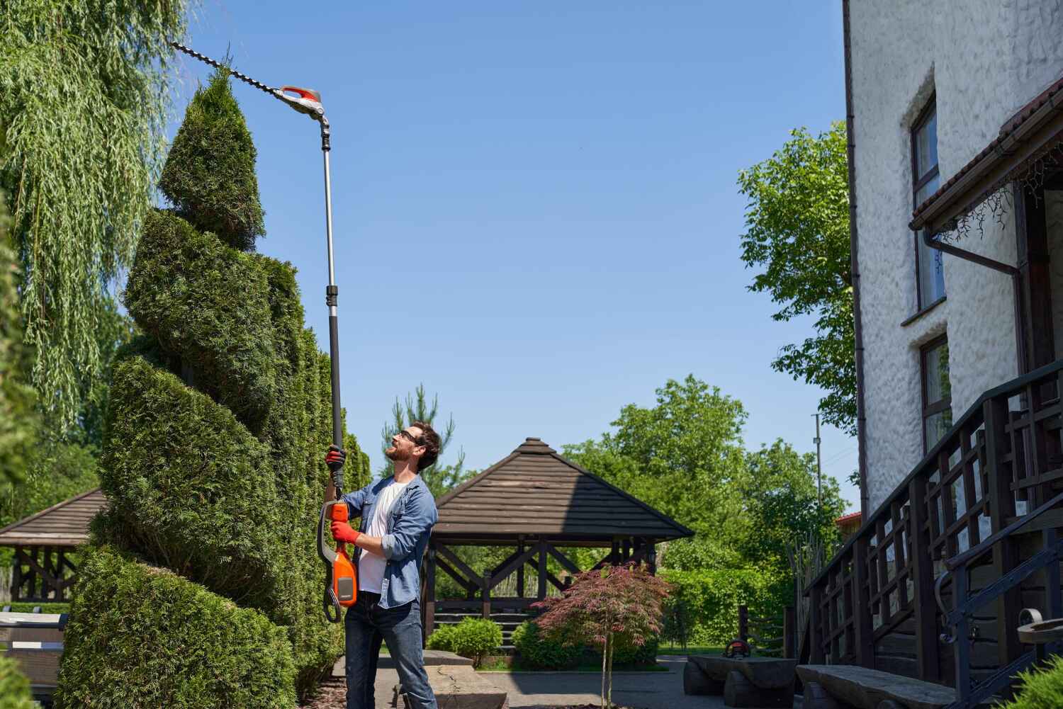 Palm Tree Trimming in Lakeview Estates, GA